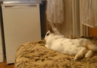 :)