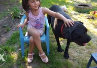 Нашите малки кученца се родиха на 28.05.2015г. Тех...