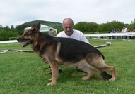 Развъдник Von Ivko предлага кучета на различна въз...