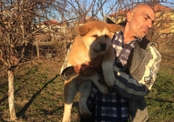 продавам ку4енца акита ину 