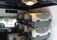 ПРЕВОЗ и разнос на ЖИВОТНИ "Zoo Transport" – КУЧЕТА,КОТКИ,ПТИЦИ 0899989999