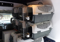 ПРЕВОЗ и разнос на ЖИВОТНИ "Zoo Transport" – КУЧЕТА,КОТКИ,ПТИЦИ 0899989999