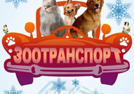 ПРЕВОЗ и разнос на ЖИВОТНИ "Zoo Transport" – КУЧЕТА,КОТКИ,ПТИЦИ 0899989999