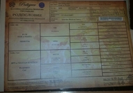 Продава се немски курцхаар! 5 женски 6 мъжки. За п...