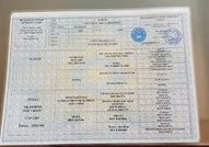 Продават се 4 мъжки и 4 женски алабайчета,роден и ...