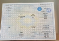 Продават се 4 мъжки и 4 женски алабайчета,роден и ...