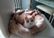 Дарете и получете щастие!