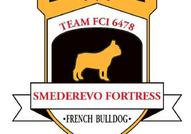 Френски булдог – красиви кученца