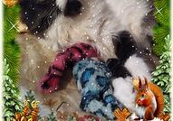 Персийски дългокосместа многоцветни принцове с ЕС паспорт микрочип ваксини обезпаразитени породисти здрави домашни любимци!