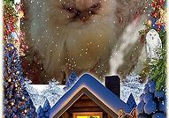 Персийски дългокосместа многоцветни принцове с ЕС паспорт микрочип ваксини обезпаразитени породисти здрави домашни любимци!