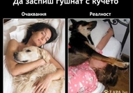 Re: Смешни снимки