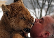 Лъв и човек - най-добри приятелиSource