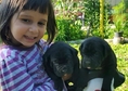 Нашите малки кученца се родиха на 28.05.2015г. Тех...