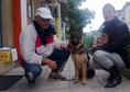 Развъдник Von Ivko предлага кучета на различна въз...