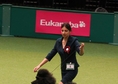 Crufts 2013