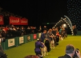 Crufts 2013