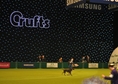 Crufts 2013