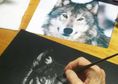 Невероятни Рисунки на Животни