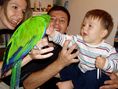 Папагалите са домашни любимци за цял живот