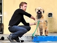 Раян Гослинг и неговото куче Джордж