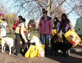 Първaта площадка за свободна разходка на кучета отвори врати в сърцето на София