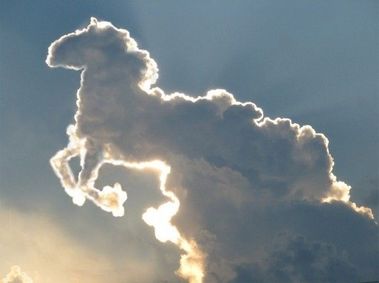 небесен кон