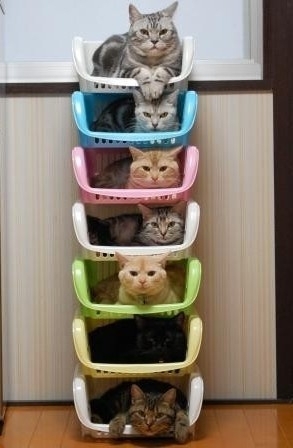 Подредени