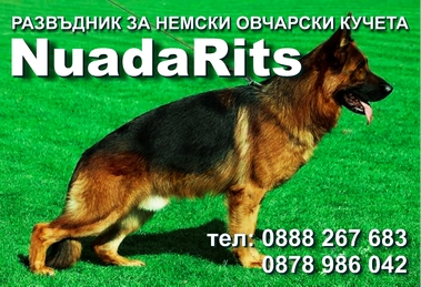 Развъдник за Германски Овчарски Кучета"Nuada Rits"