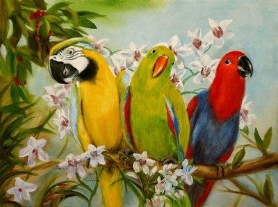 Папагалите - над 350 вида! 