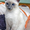 Тайска тайланска котка - за породата