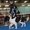 Кучето на Борисов – световен шампион