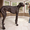 Най-високото куче в света немеския дог Зевс