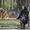 Бездомните кучета в Румъния ще бъдат убивани