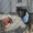 Флашмоб с кучета пред НДК в защита на приют